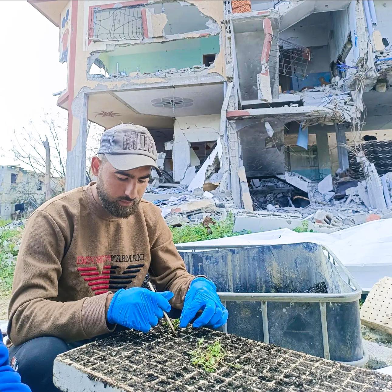 بدأ يوسف أبو ربيع زراعة بذور جديدة من أمام منزل عائلته الذي دمّره القصف الإسرائيلي شمال غزة