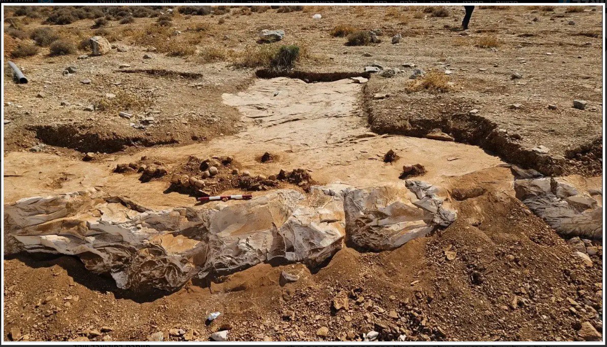 الحجارة الأثرية عثر عليها الاحتلال أثناء شقّ شارع استيطاني في حزما شرق القدس