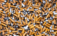 "التبغ: تسميم كوكبنا".. تقرير لمنظمة الصحة العالمية في اليوم العالمي للامتناع عن التدخين.