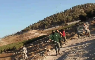 مستوطنون هاجموا فلسطينيين بالتوانة بمسافر يطا