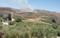 مستوطنون يحرقون أراض في بورين