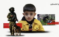 إبراهيم حشاش.. طفلٌ نهشت كلاب إسرائيل جسده في مخيم بلاطة