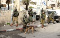 جنود إسرائيليون أثناء أعمال تفتيش في الضفة الغربية 