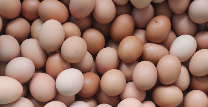 أسعار بيض الدواجن 