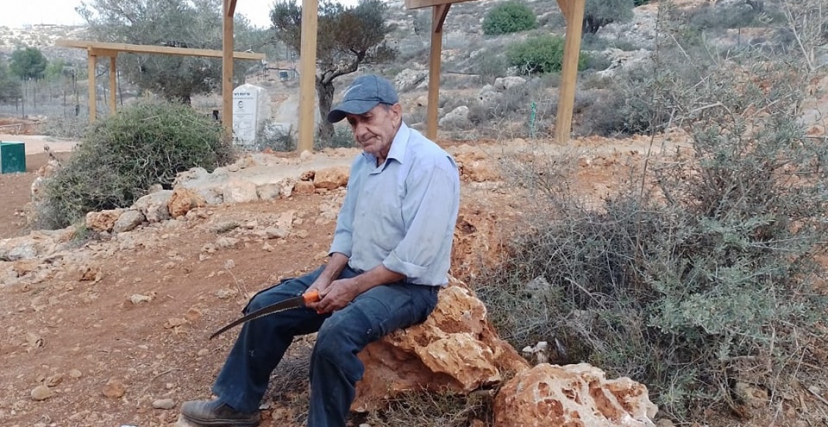 الحاج محمود معمر (77 عامًا) في أرضه 