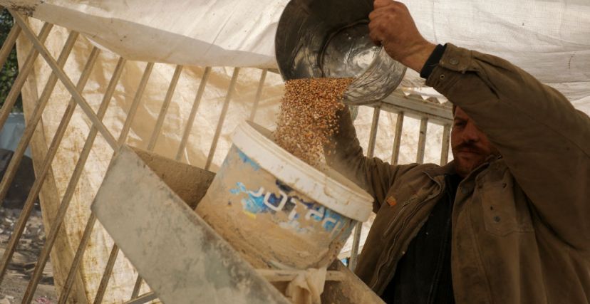 مجاعة في شمال غزة والمُحاصرون يطحنون علف الحيوانات بدل القمح