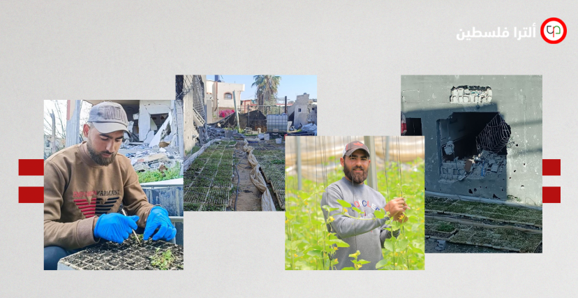 المهندس الزراعي يوسف أبو ربيع ومبادرة حنزرعها 