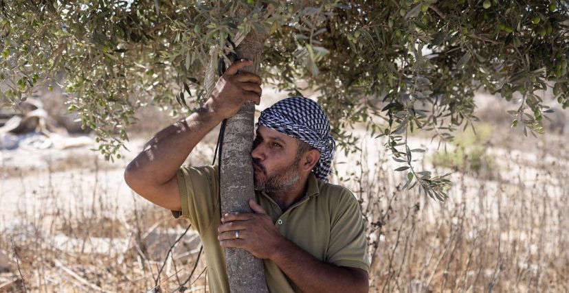 أهالي زنوتا جنوب الخليل يعودون لقريتهم