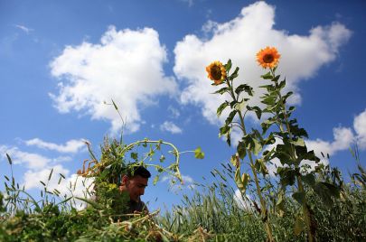 Majdi Fathi/ Getty Images 