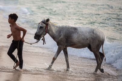 Yousef Masoud/ Getty Images