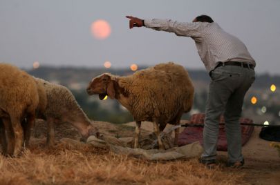 Majdi Fathi/Getty Images