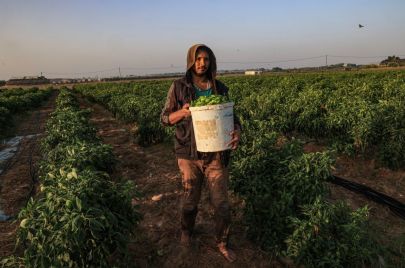 تعاود درجات الحرارة الانخفاض اعتبارًا من صباح يوم الأربعاء - SAID KHATIB/ Getty Images